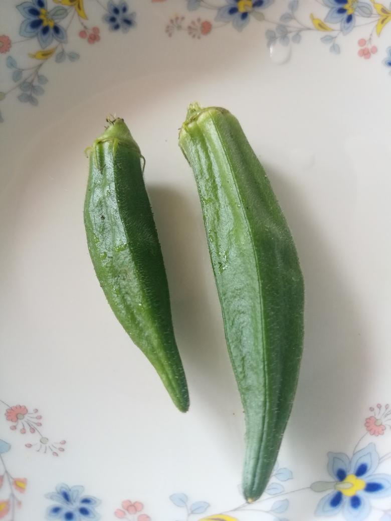 2023.简简单单