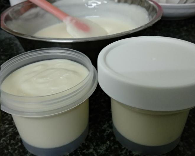 酸奶冰淇淋（无蛋无奶油无冰渣）的做法