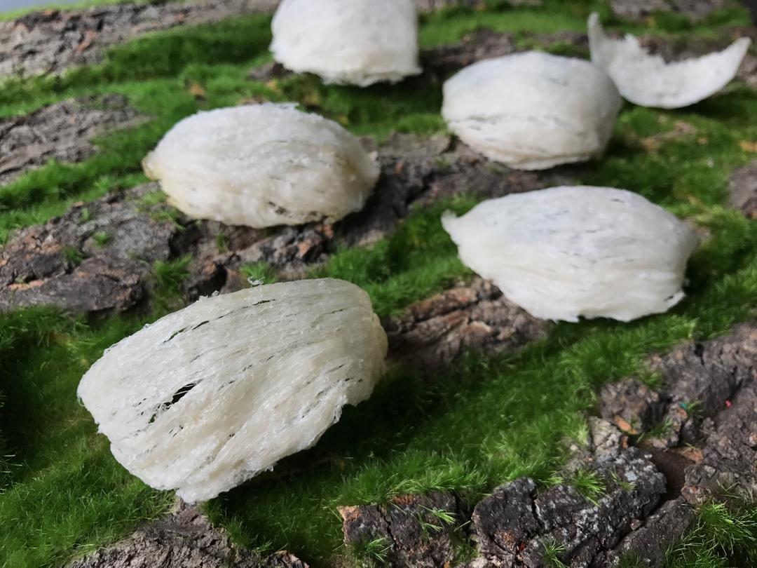 燕窝独家泡发挑毛（专业详细）