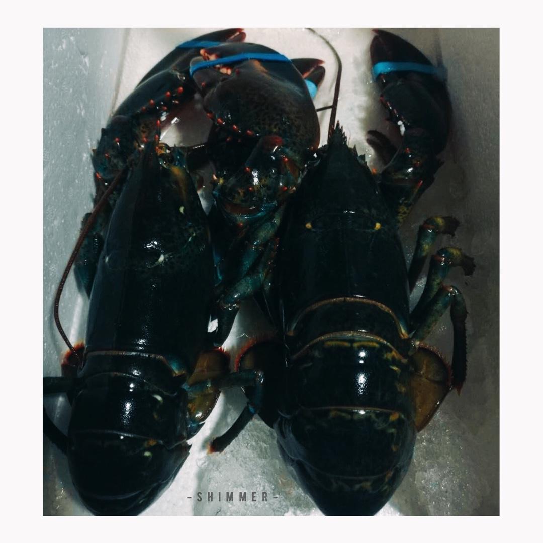 蒜蓉龙虾蒸粉丝