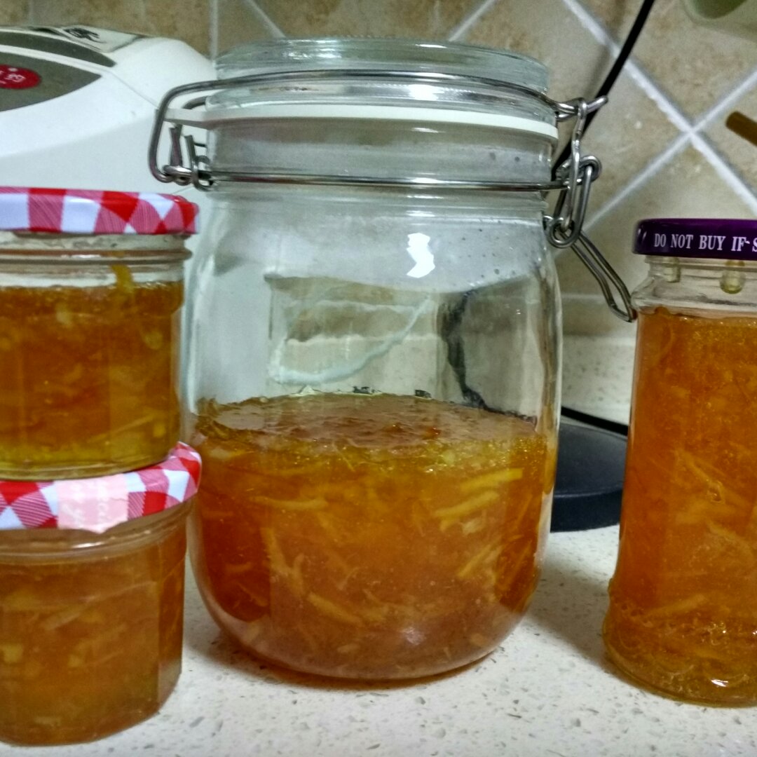 柠檬橙子果酱 Lemon & Orange marmalade