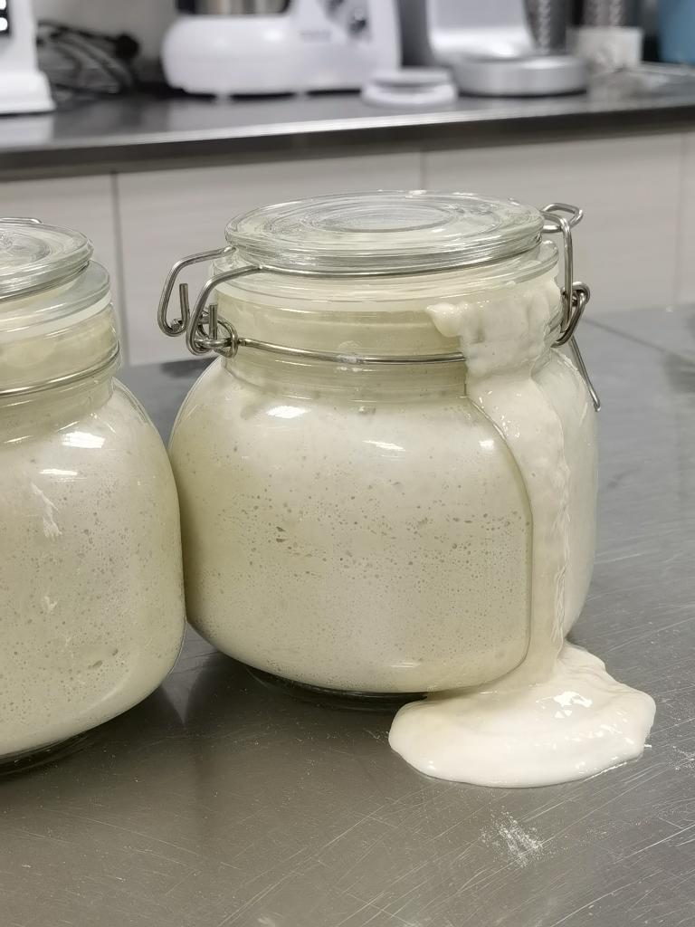 天然葡萄鲁邦酵母种培养制作的做法