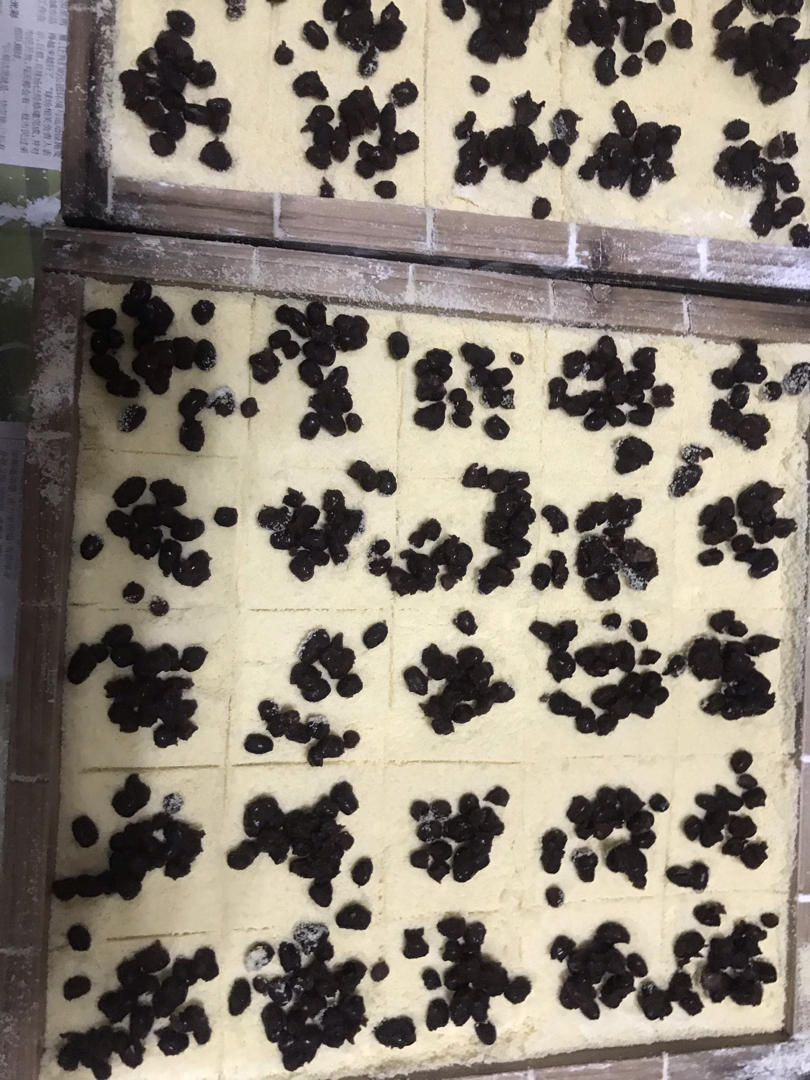 温州名点【红豆松糕】