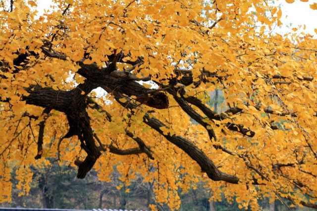 手机用户0531_ac9f