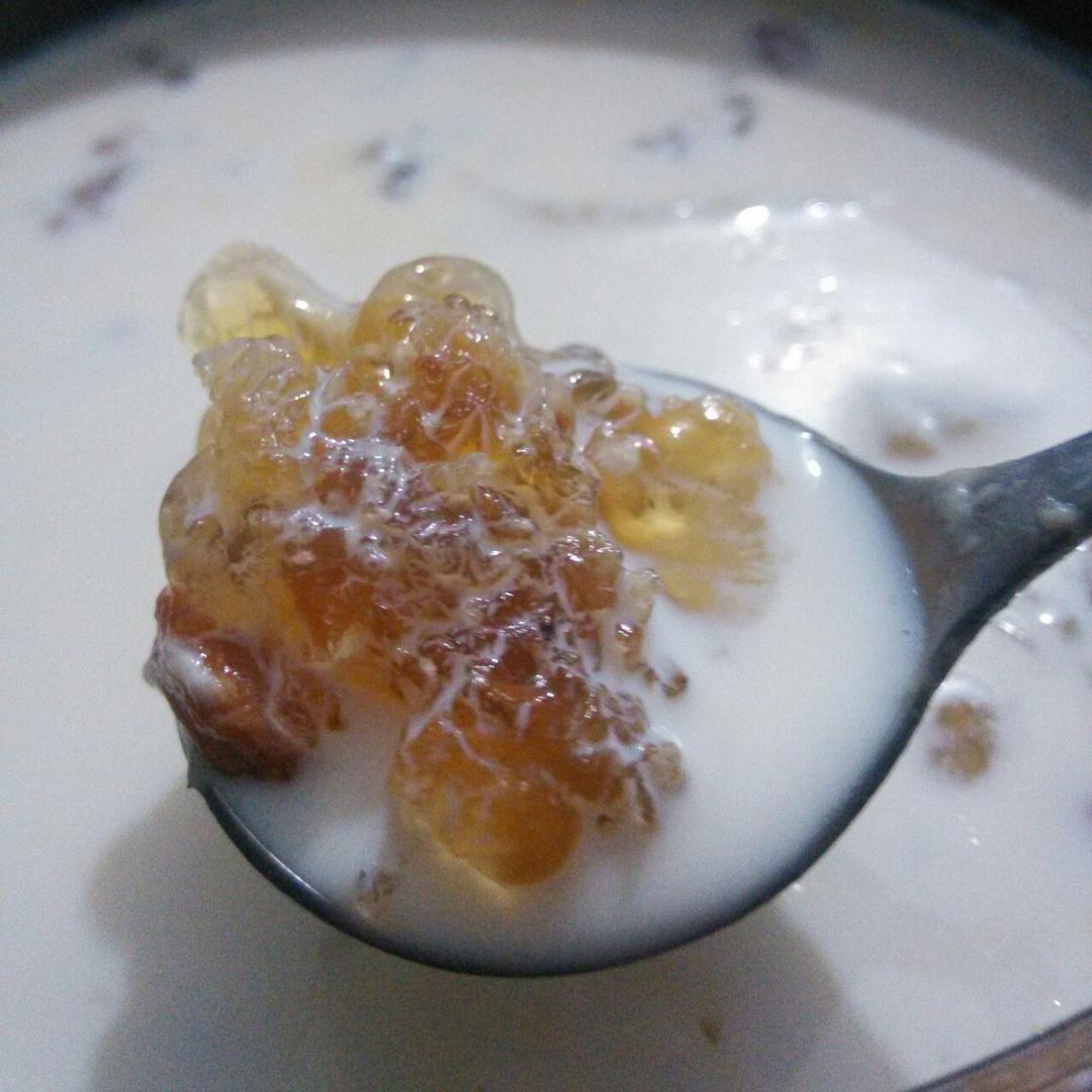 牛奶炖桃胶