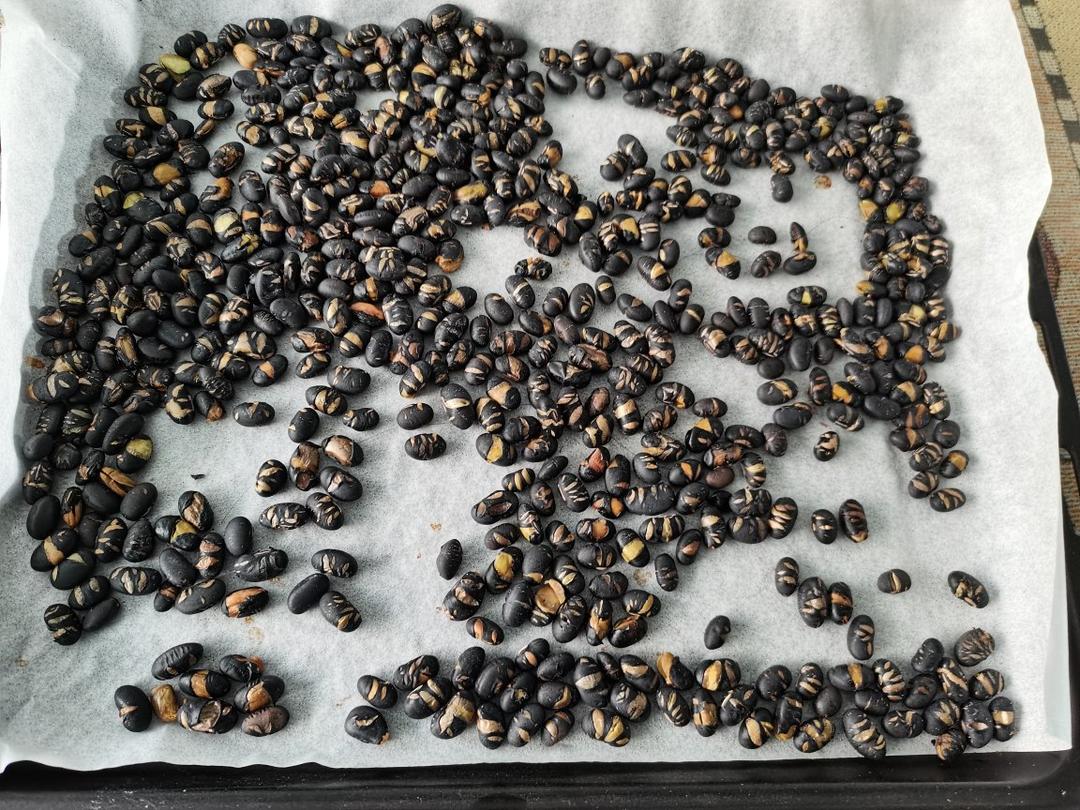 烤黑豆|柏翠K55烤箱版|健康零食