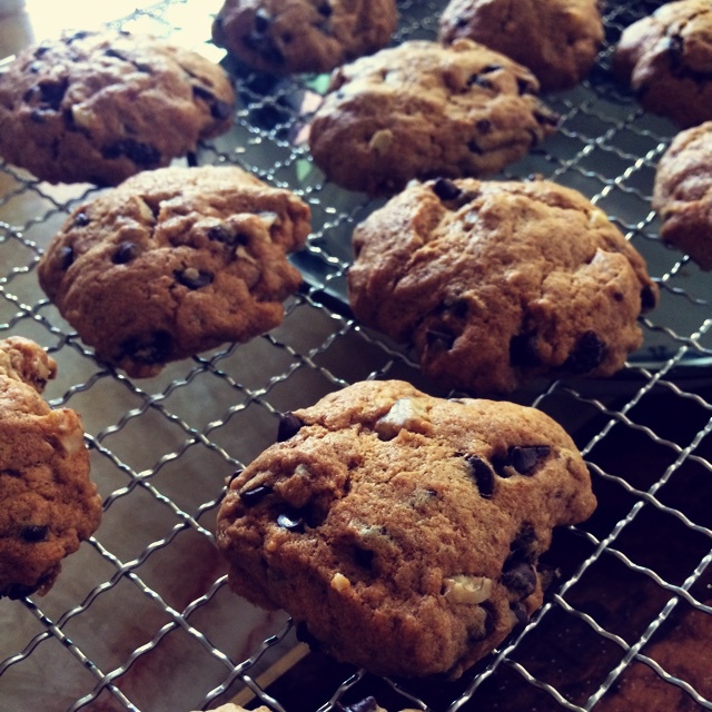 巧克力奇普饼干