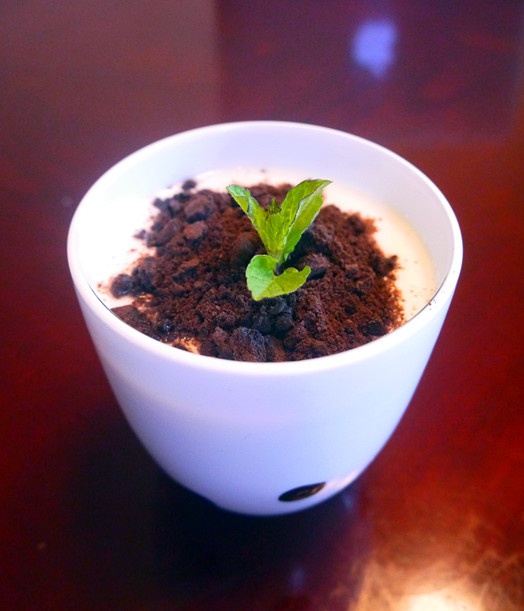 柠檬小兔砸做的盆栽酸奶