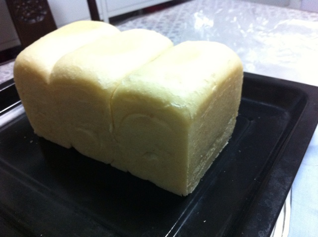 独角仙17小时冷藏中种———白吐司