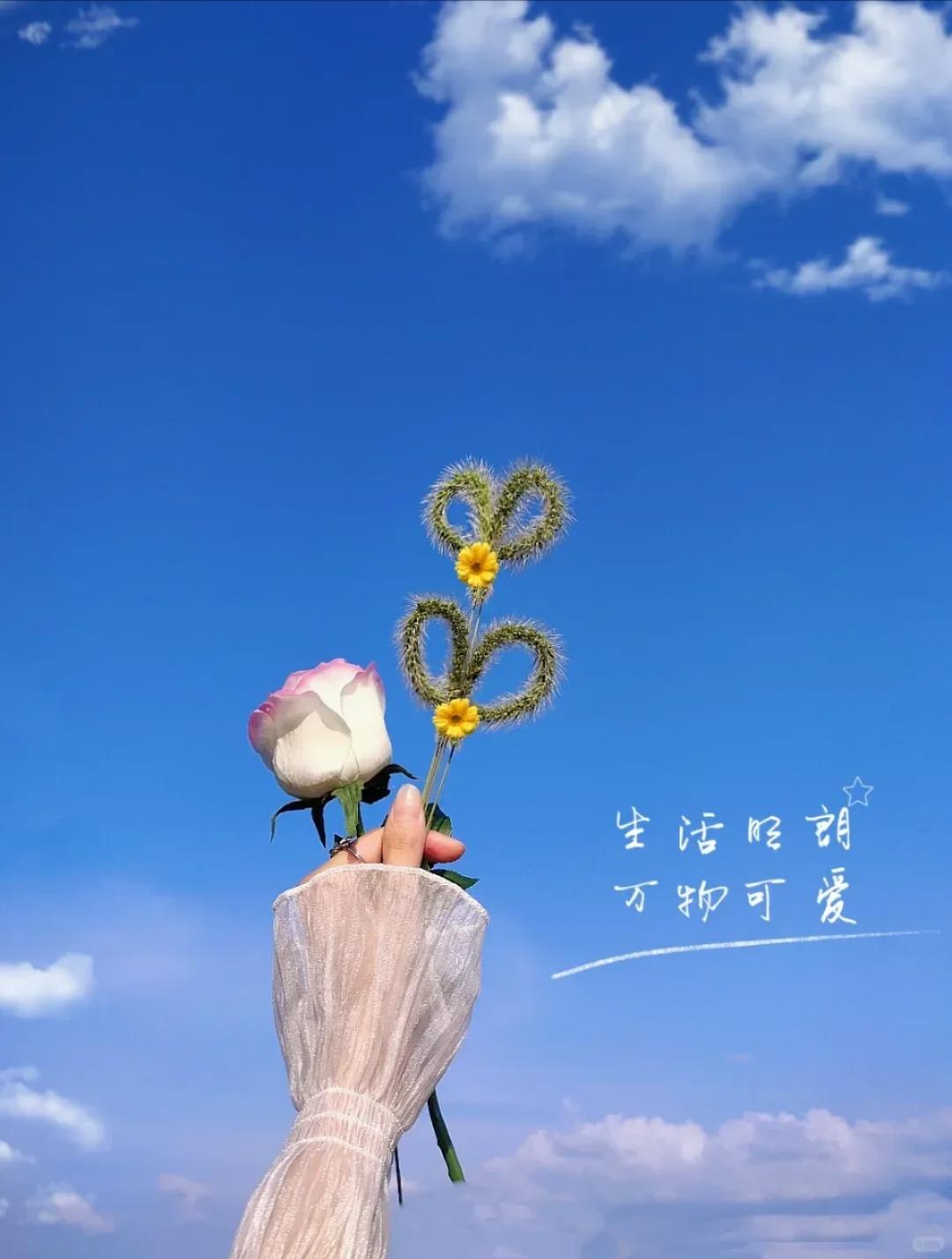沐沐熙01