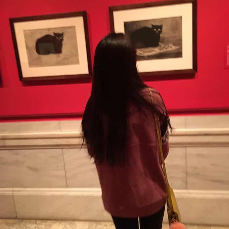 本宝宝的小鲤鱼