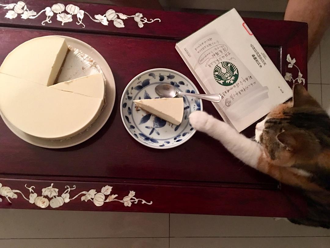 【视频】免烤冻芝士蛋糕 | 超适合夏日