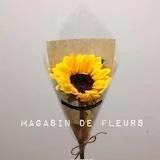 兔几柒要一路向阳