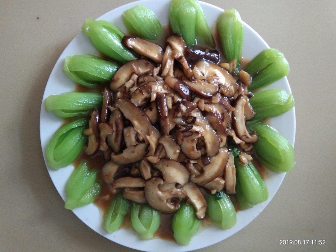 香菇油菜🥬