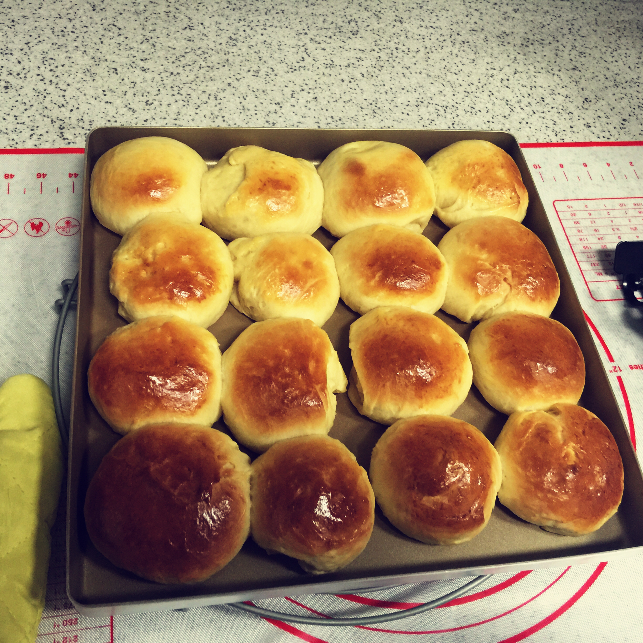 鲜奶油小餐包（一次发酵）