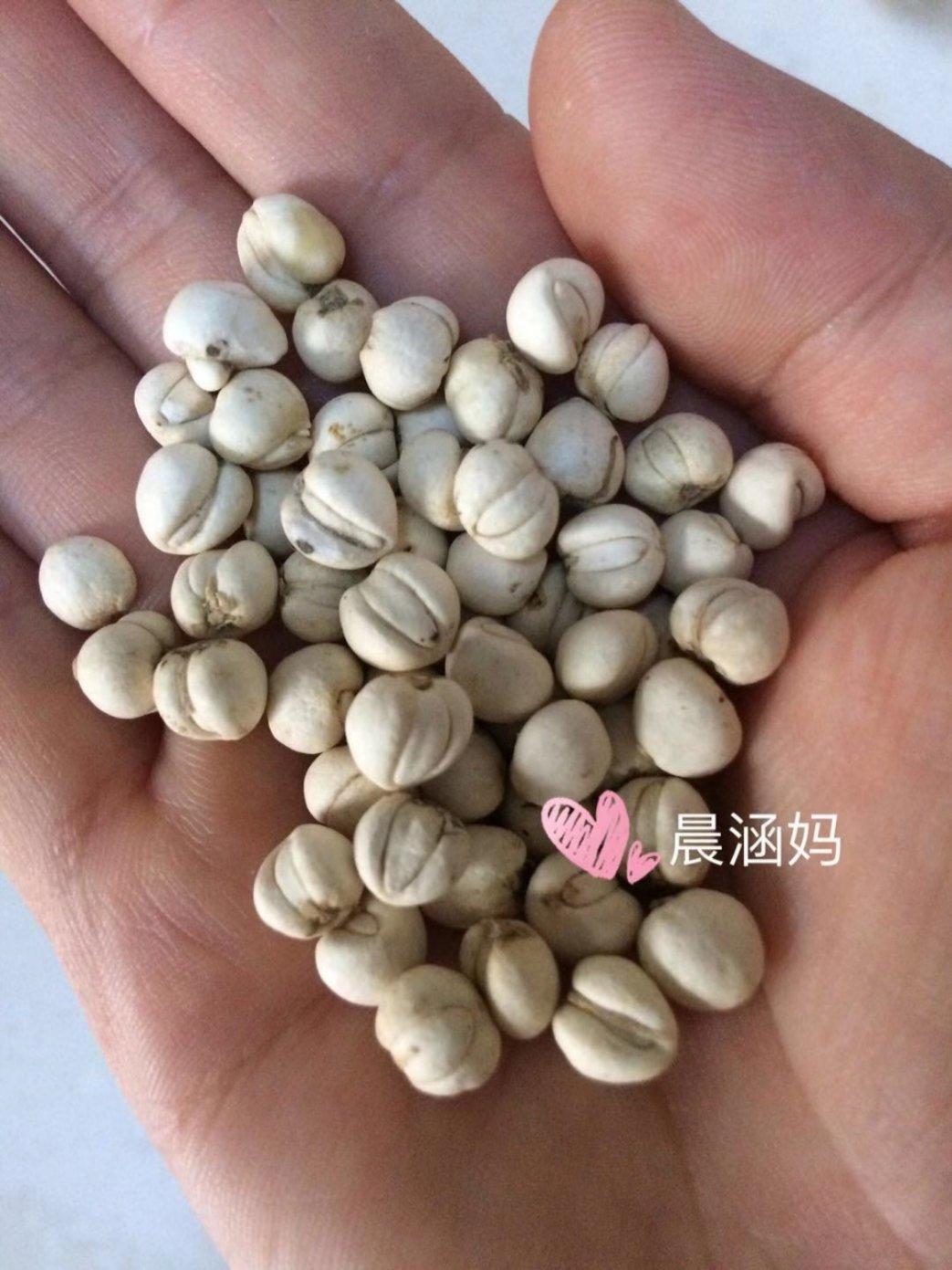 川贝陈皮柠檬膏