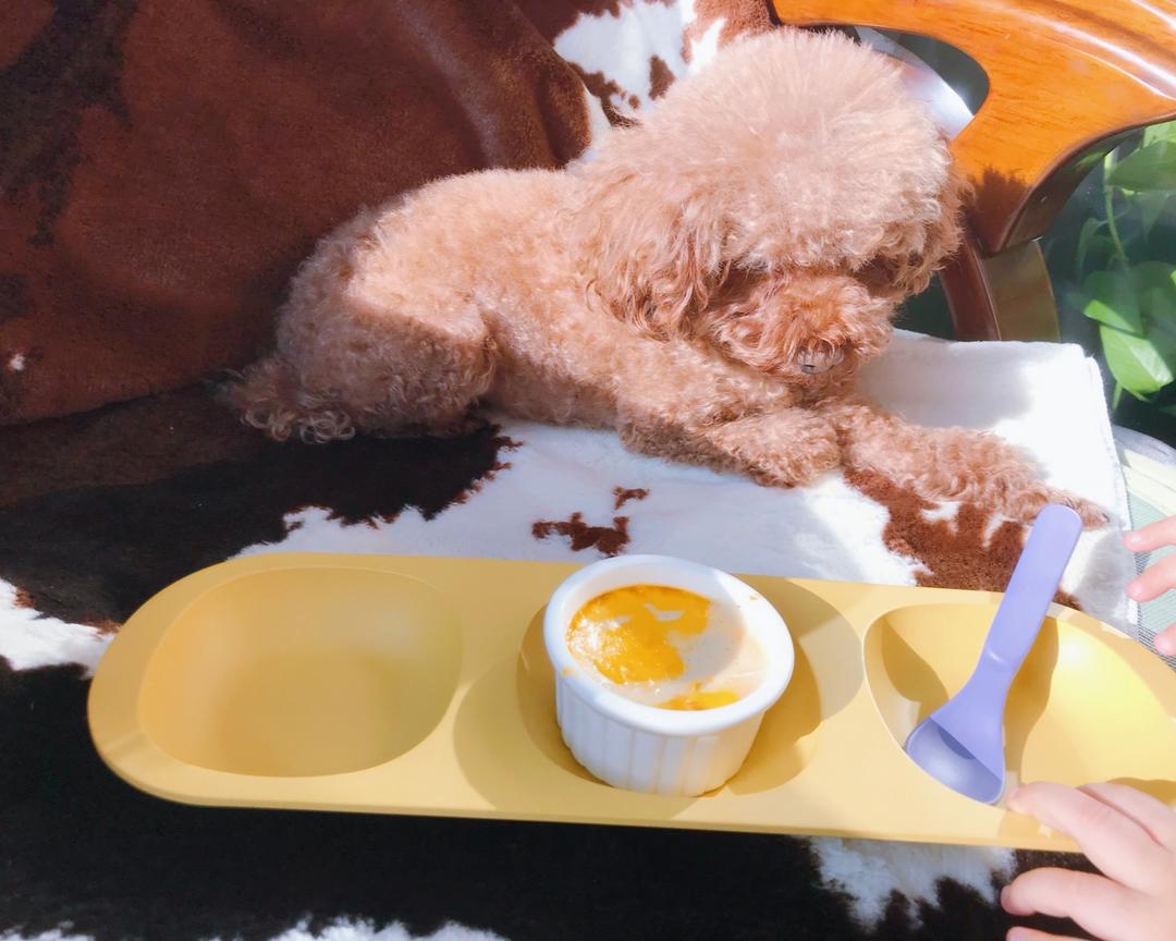 无糖大米布丁🍮的做法