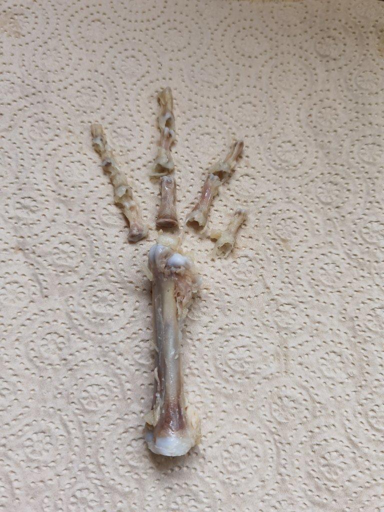 轻松不伤手鸡爪去骨