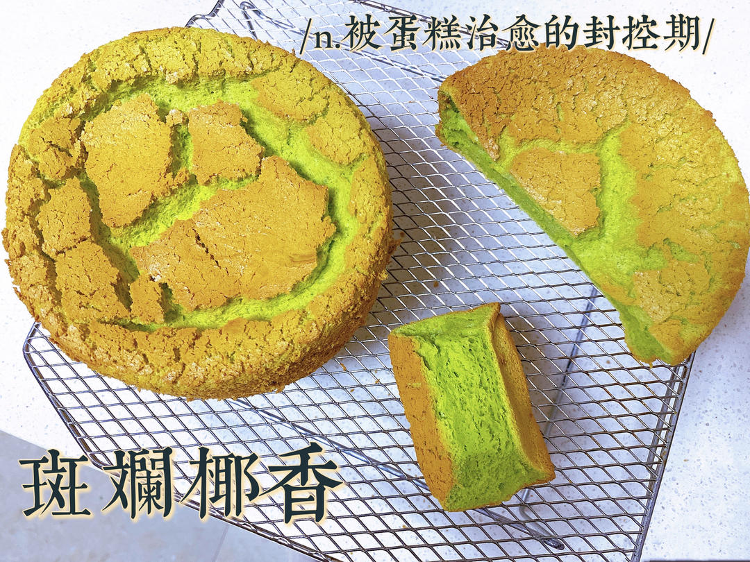 《Tinrry+》新加坡明星同款伴手礼绿蛋糕！斑斓椰香戚风（6英寸加高中空配方）