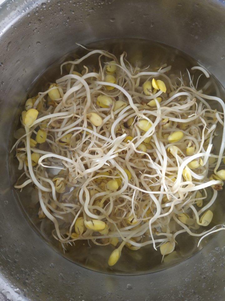自发豆芽（可乐瓶发豆芽0失败！）