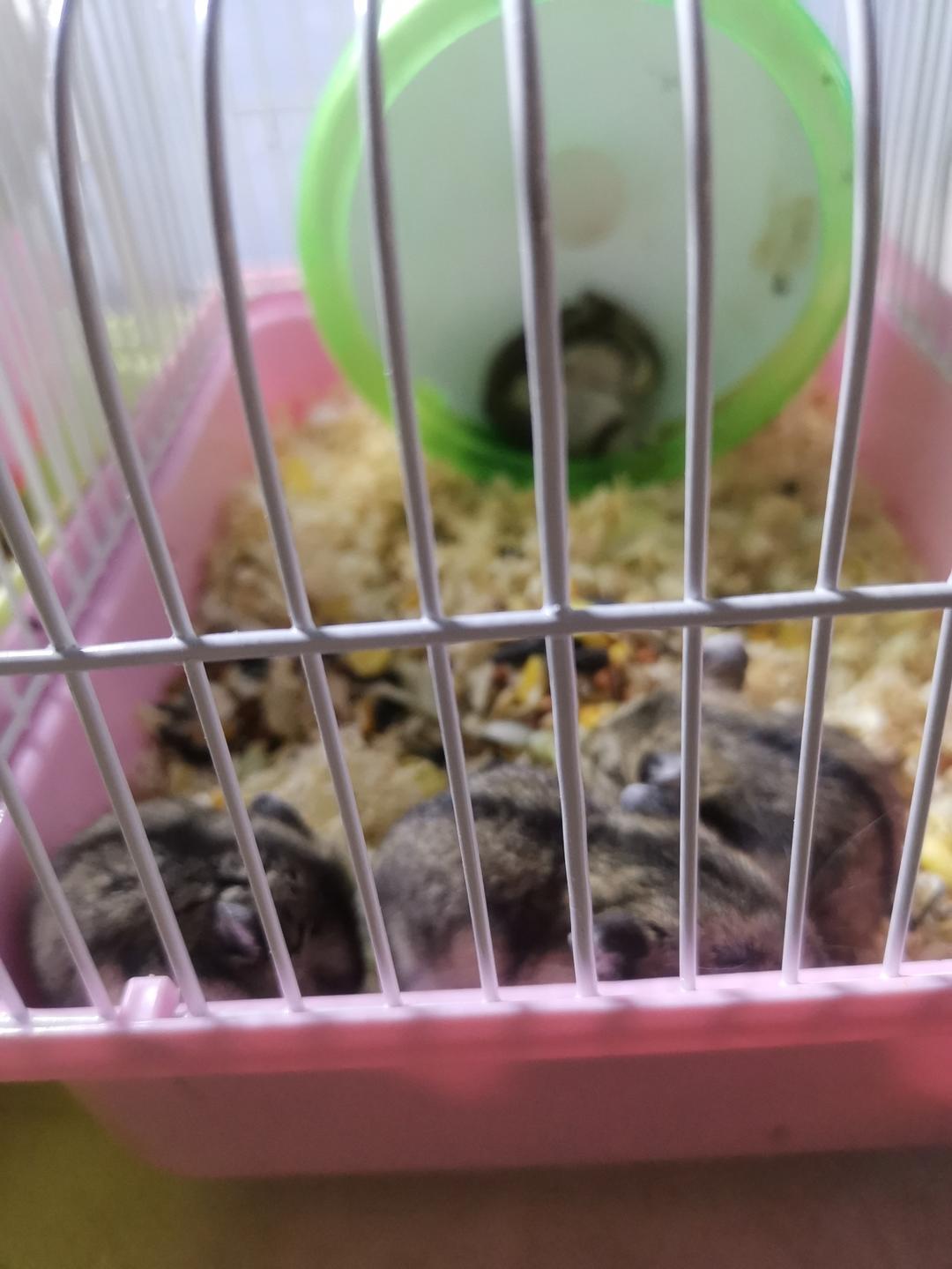 酸辣豆腐汤