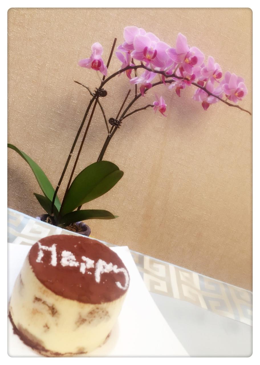 《Tinrry+》提拉米苏