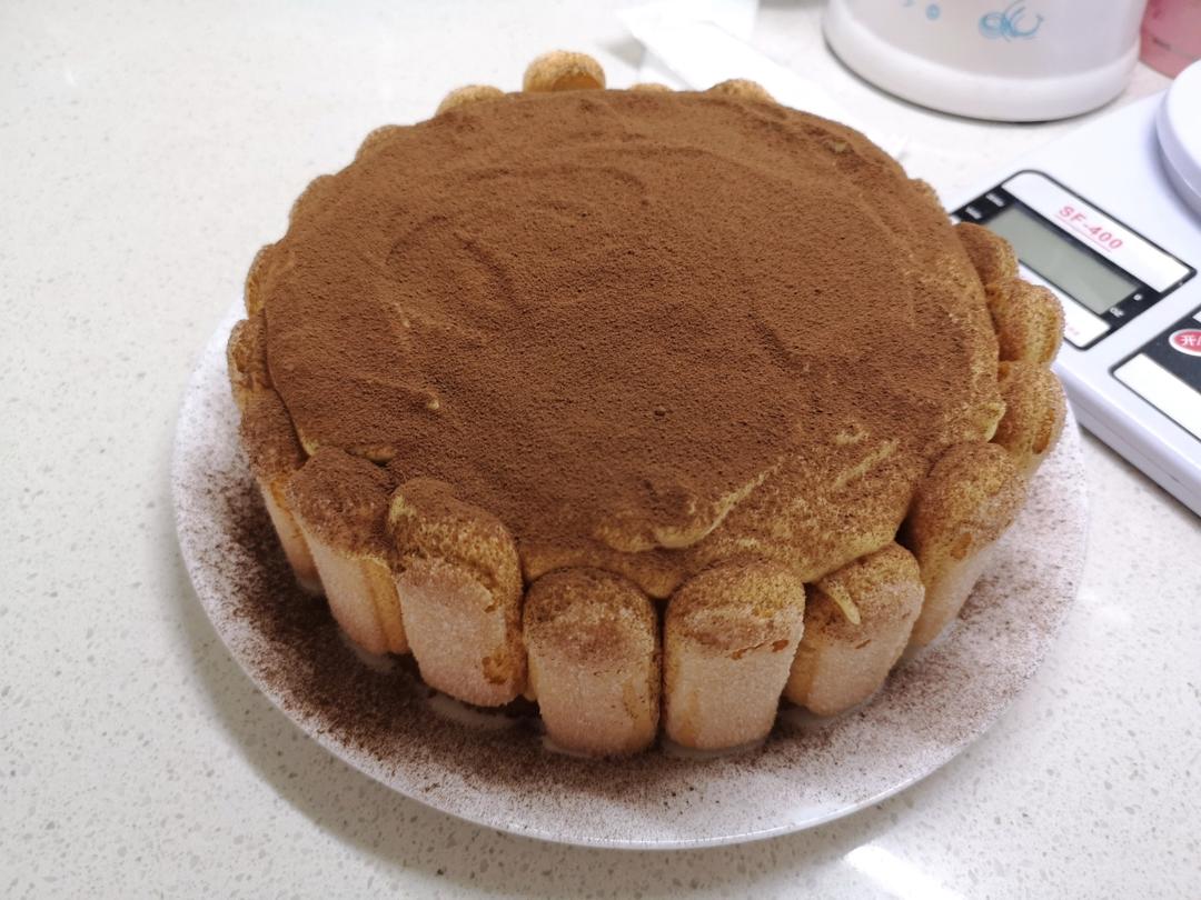 在欧洲学会的经典版提拉米苏