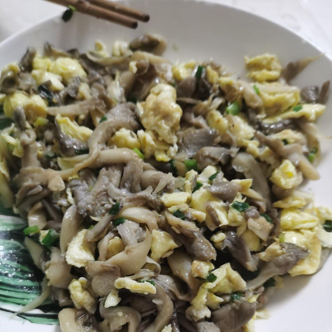 蘑菇炒鸡蛋	平菇这样炒，鲜美无比巨好吃
