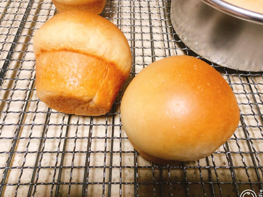 鲜奶油小餐包（一次发酵）
