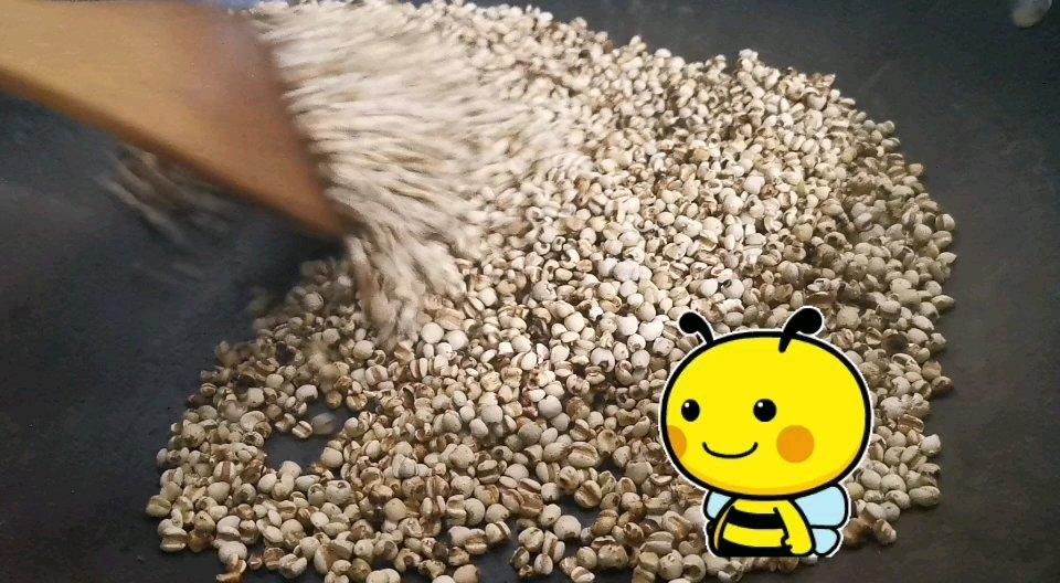 祛湿健脾膏
