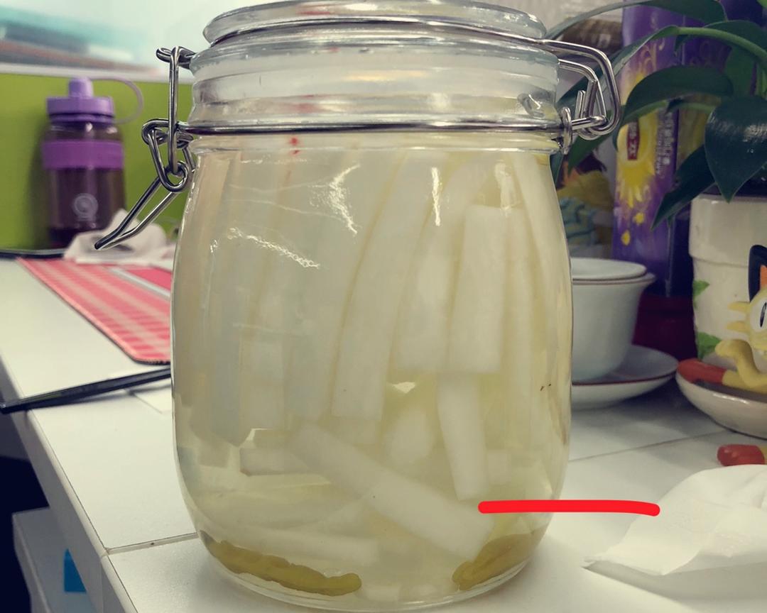 不会错的酸萝卜