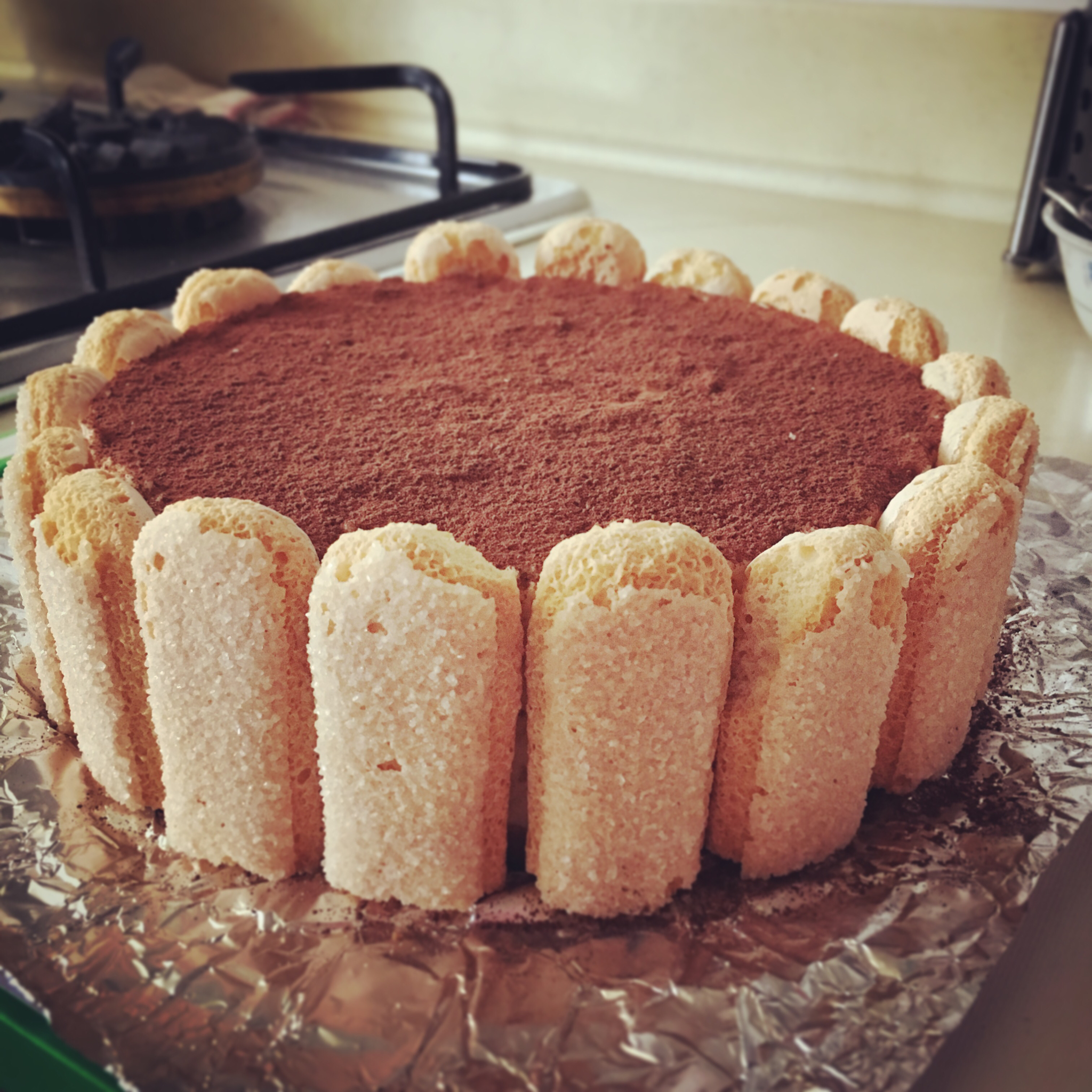 提拉米苏（硬身版）