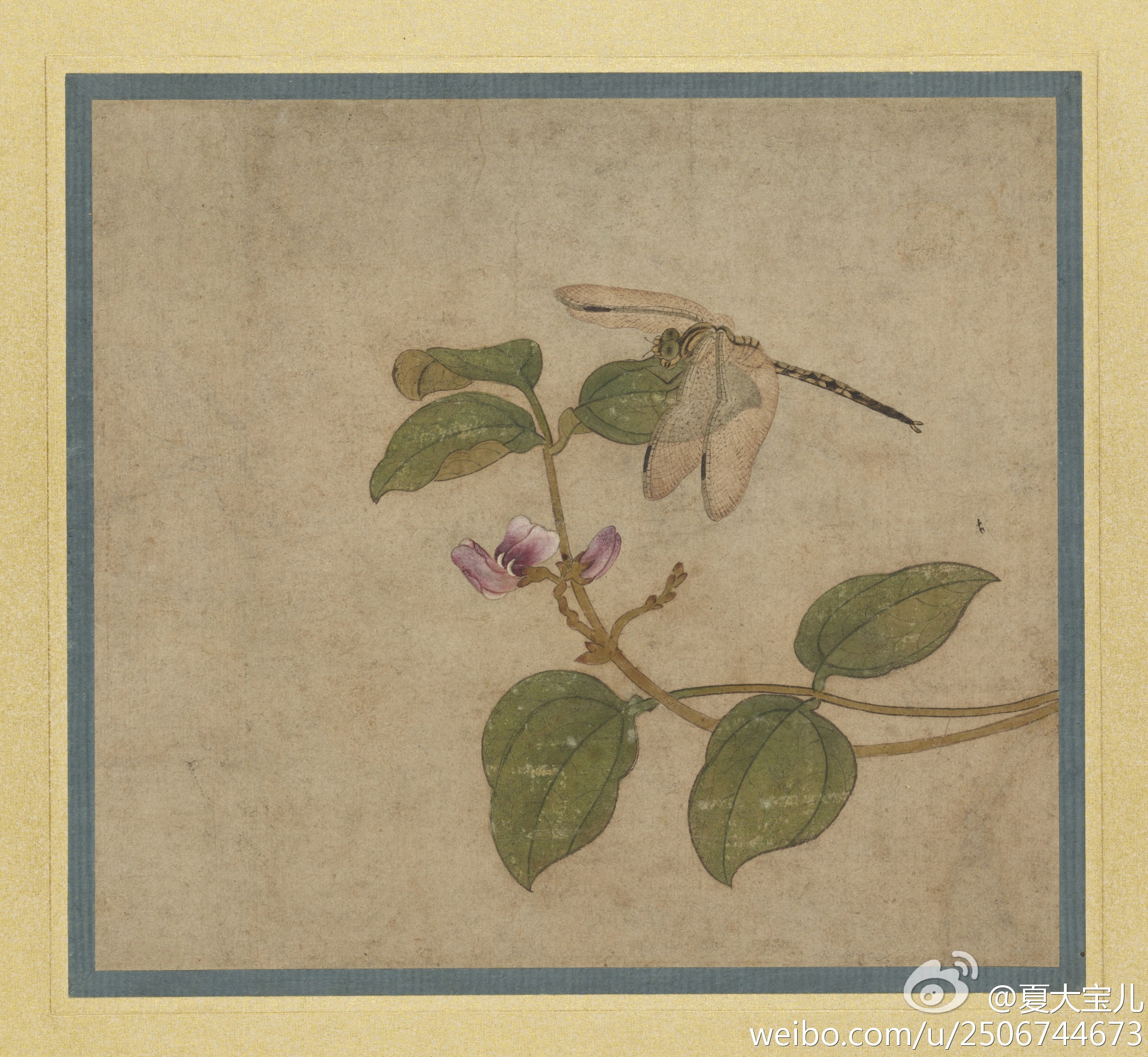 红豆沙藜麦牛奶