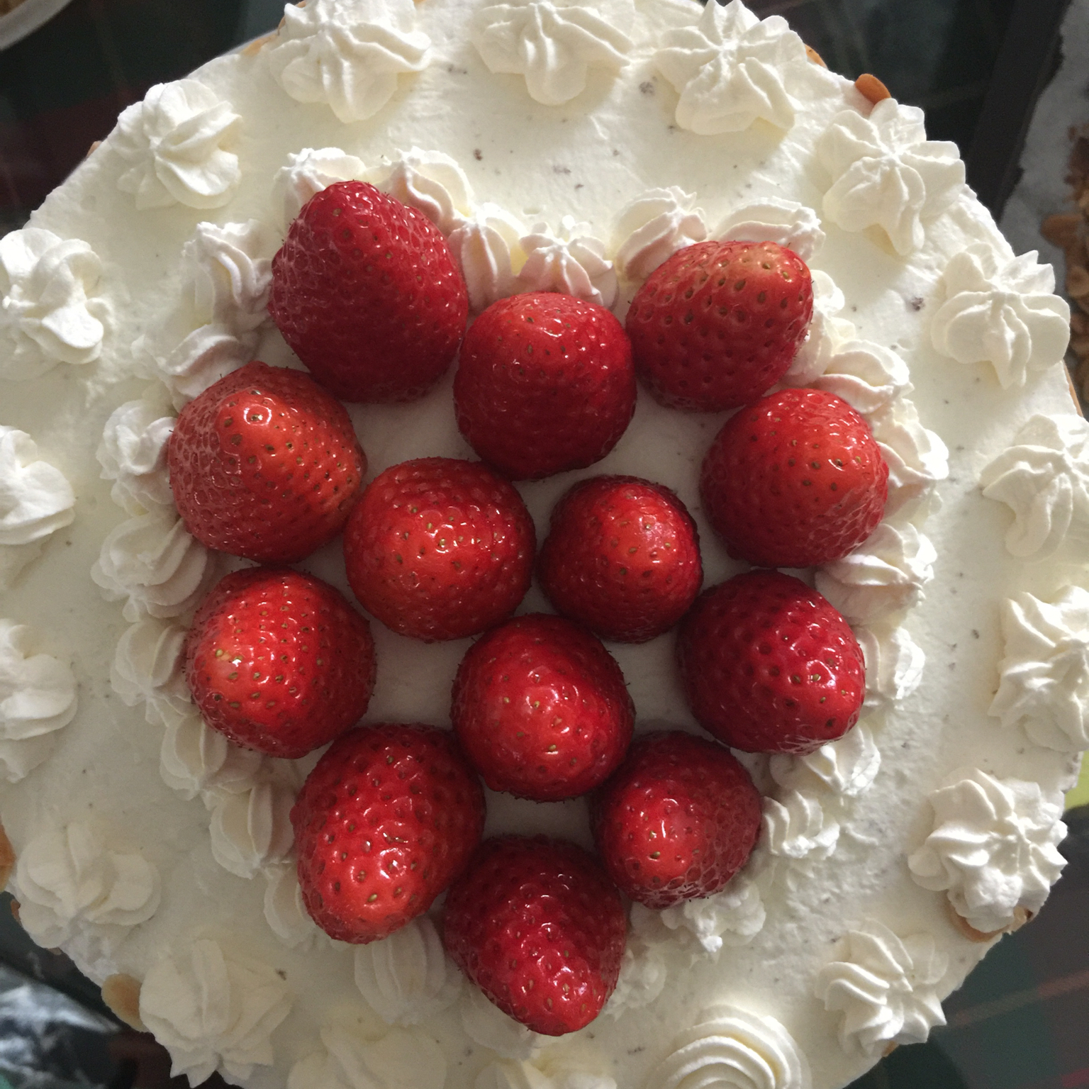 巧克力可可戚风（8寸）