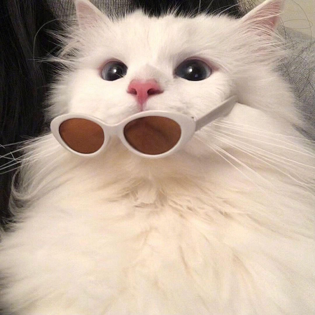 我就吃一勺哈哈