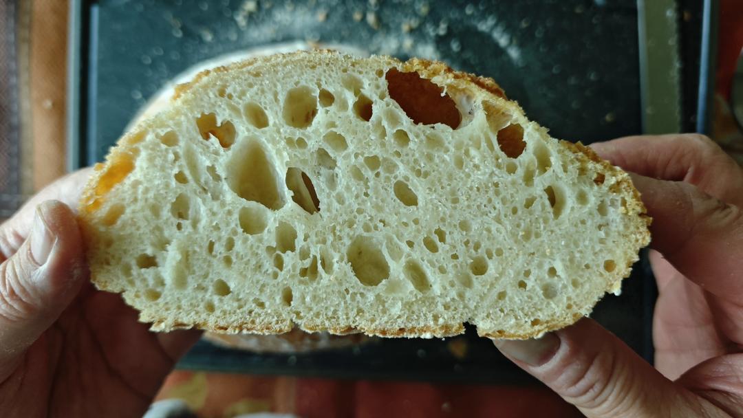 欧包/乡村面包-无油不用揉 No Knead Bread