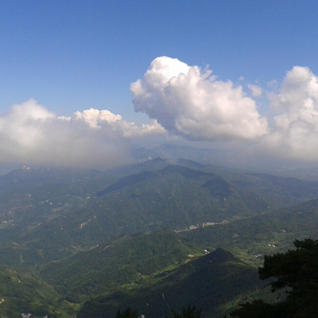 静待花开-51的厨房