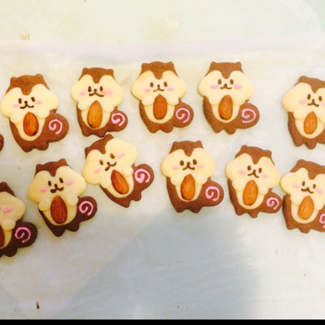 松鼠饼干