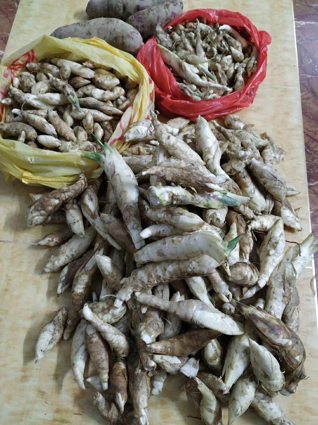 正宗道滘粽