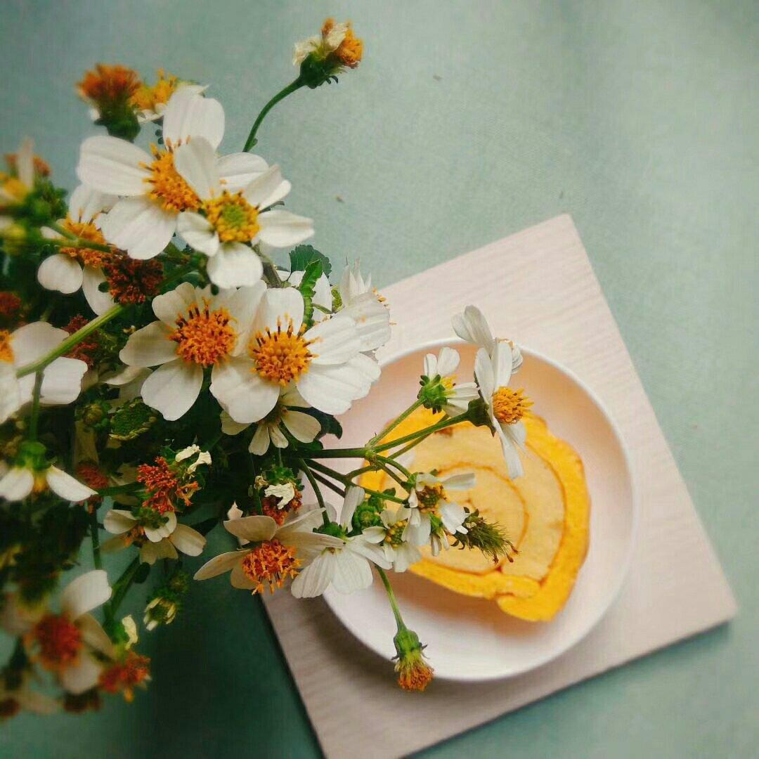 春天色 虎皮蛋糕卷.戚风蛋糕卷 by pink-rabbit