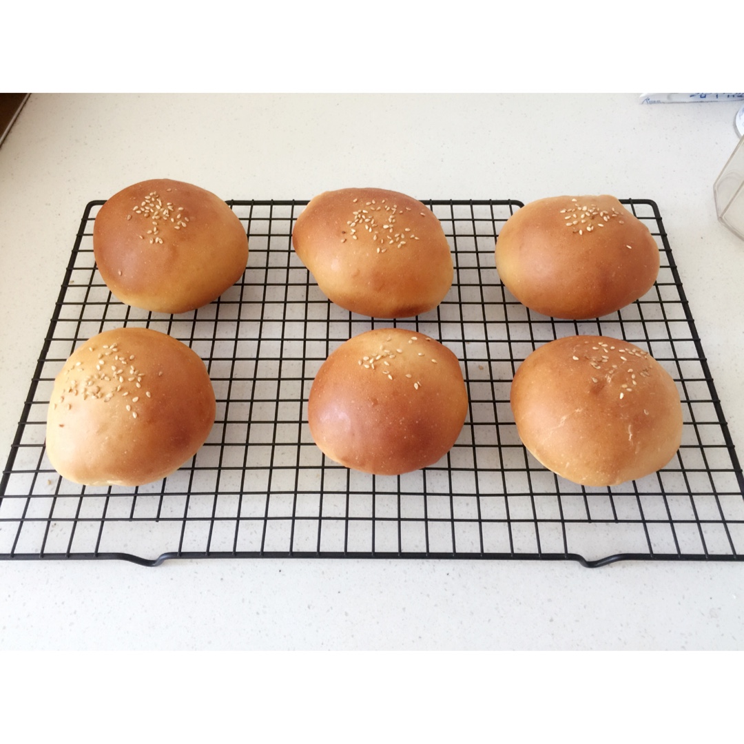 汉堡胚 poolish（波兰种）