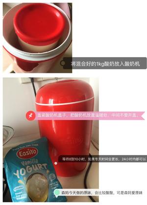 easiy酸奶机自制酸奶的做法 步骤6