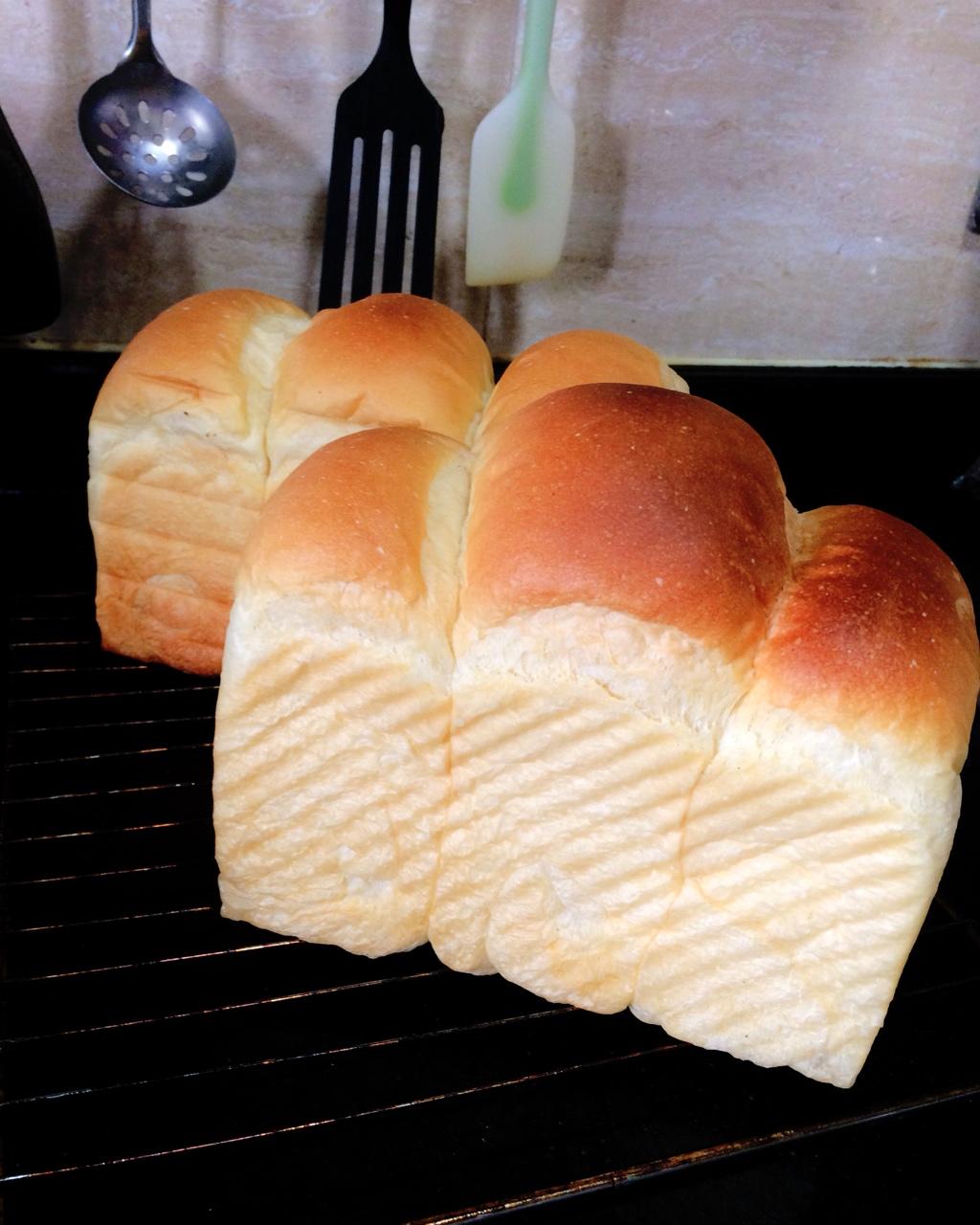 留白2046_做的超熟鲜奶吐司