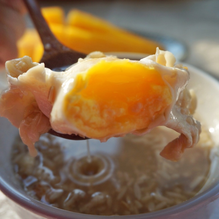 七啊七啊七啊七七七做的桂圆酒酿水铺蛋