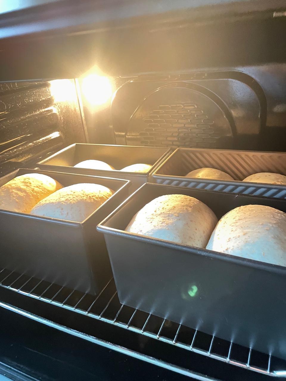 奶酪全麦吐司的做法