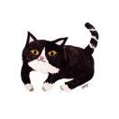 手机用户5808_p3qm