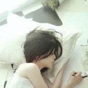 懒猫专业户