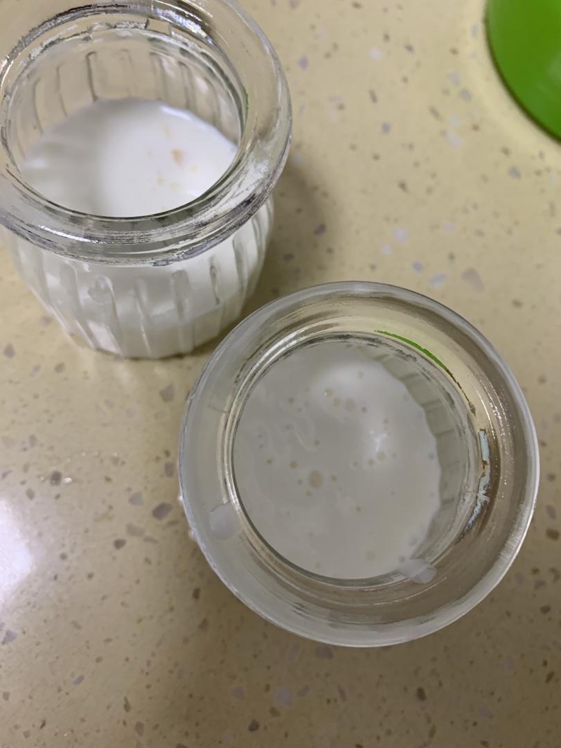 QQ的吉利丁酸奶果冻🍸