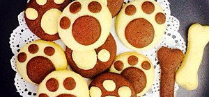Cooooooooooooookie的封面