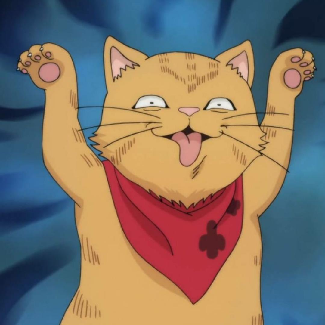 厨艺小白在线自闭